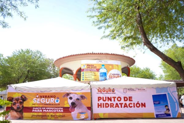 ARRANCA OPERATIVO VERANO SEGURO&nbsp;2024