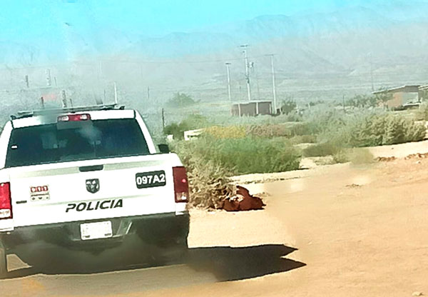 SE DESCONOCE AÚN IDENTIDAD DE ENCOBIJADA DE EL&nbsp;CHOROPO