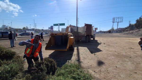 CACHANILLAS YA NO COMPRAN PINITOS&nbsp;NATURALES